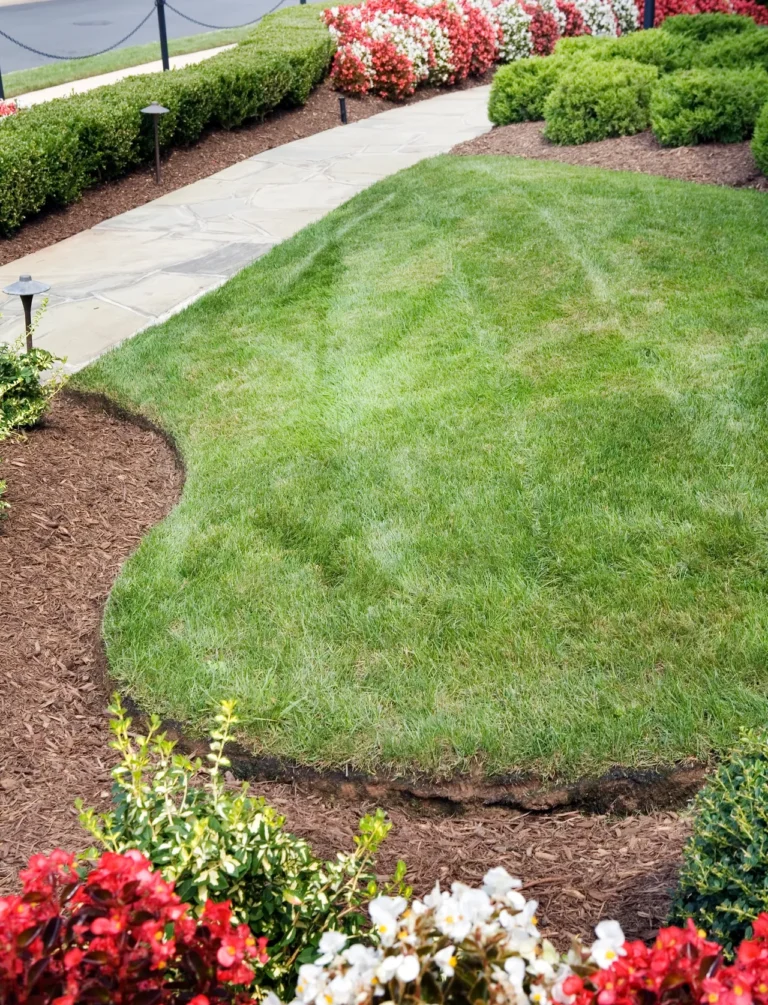 Boost Curb Appeal for Cypress Properties